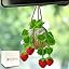 Crochet hanging plants are suitable for cars, car interior decoration, strawberry aesthetic car parts for ladies' interiors, car decoration hangers for rearview mirrors, Bohemian car decoration